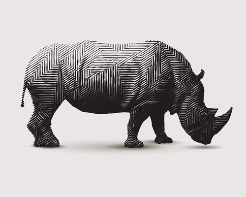 Rhino Canvas - 100x80cm